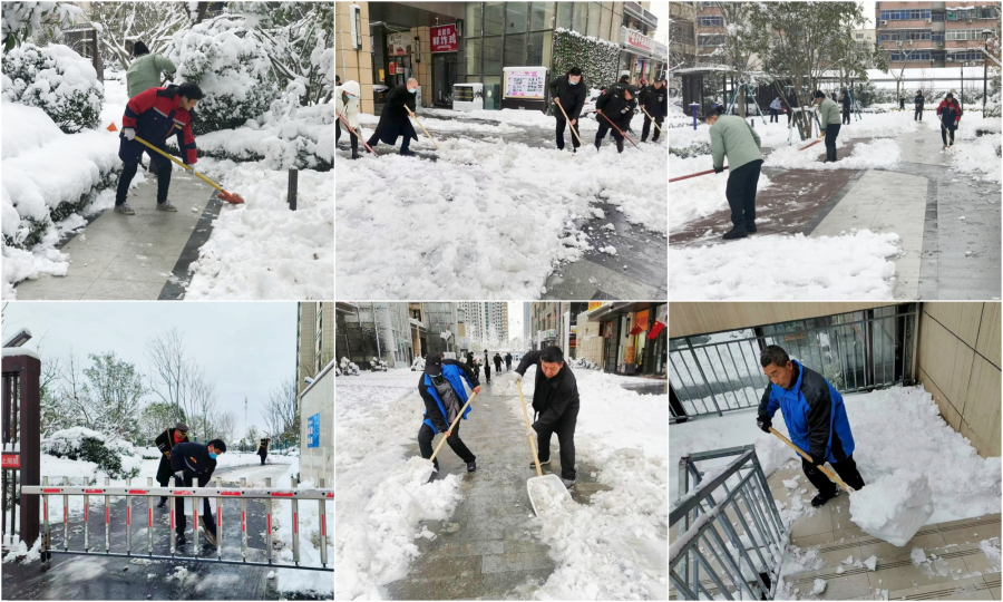 除雪更添暖！世茂服务郑州助农采购4000斤蔬菜送业主过暖冬_中国网地产